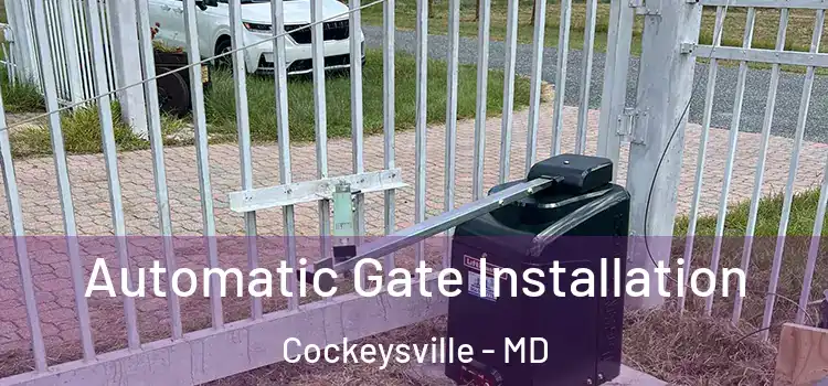 Automatic Gate Installation Cockeysville - MD