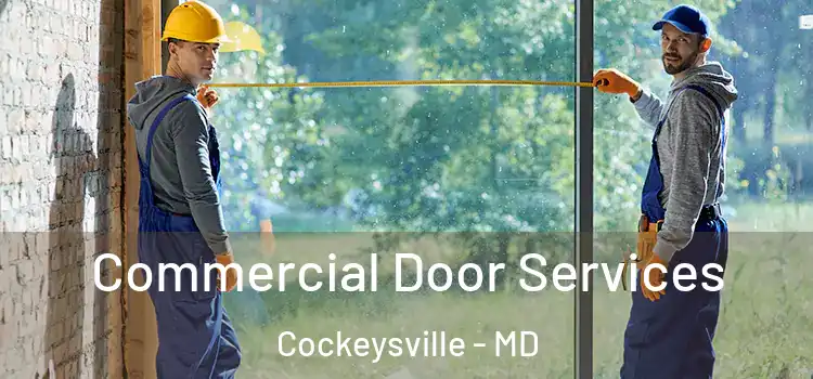 Commercial Door Services Cockeysville - MD