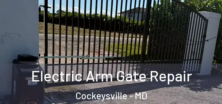 Electric Arm Gate Repair Cockeysville - MD