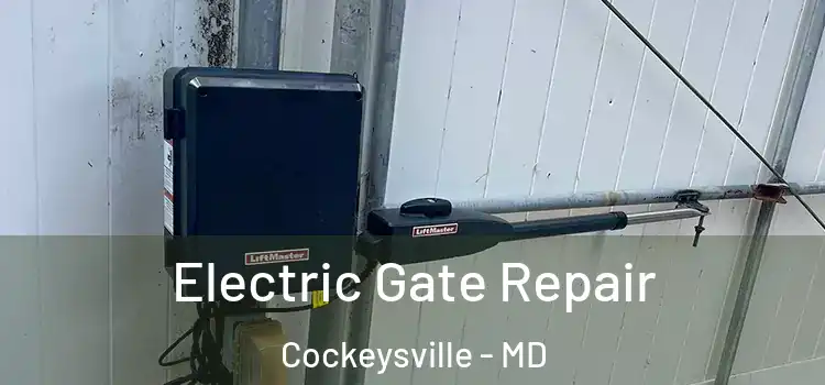 Electric Gate Repair Cockeysville - MD