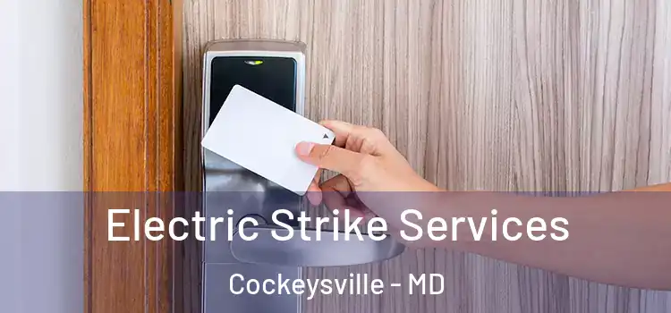 Electric Strike Services Cockeysville - MD