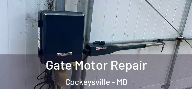 Gate Motor Repair Cockeysville - MD