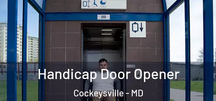 Handicap Door Opener Cockeysville - MD