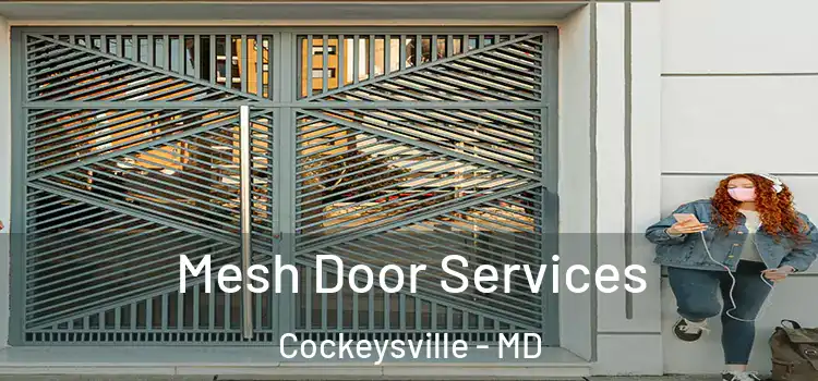 Mesh Door Services Cockeysville - MD