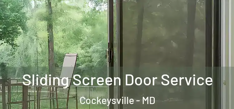 Sliding Screen Door Service Cockeysville - MD