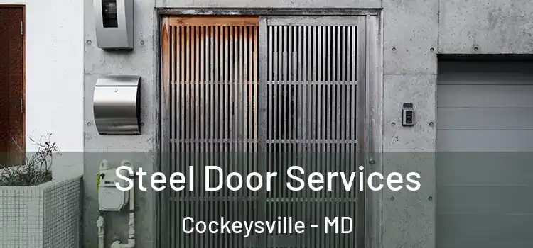 Steel Door Services Cockeysville - MD